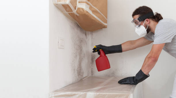 Professional Black Mold Remediation technician working in Haw River, NC