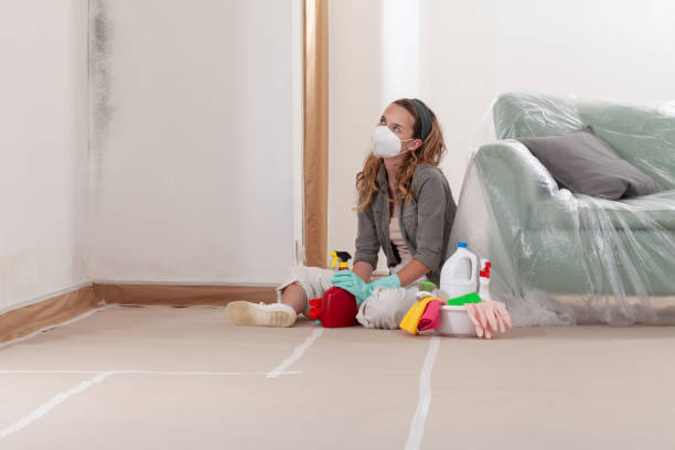 Reliable Black Mold Remediation contractor in Haw River, NC by 24 Hour Mold Removal